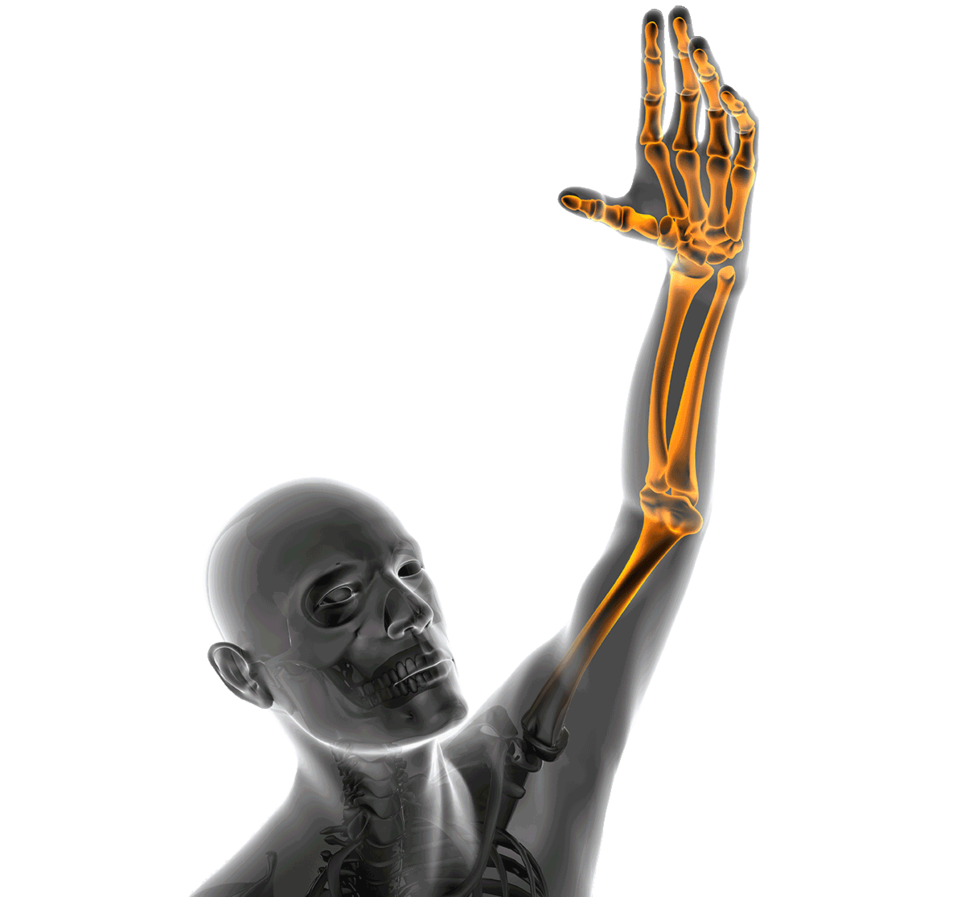 Abbildung Hand